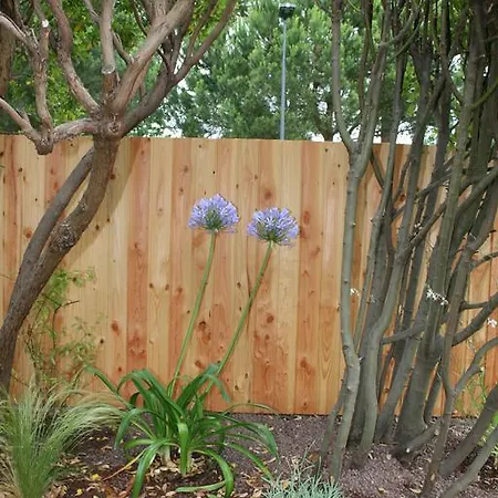 Maison Claouey Lège-Cap-Ferret