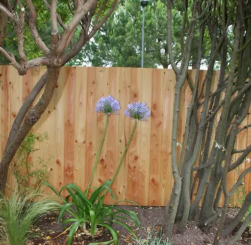 Maison Claouey Lège-Cap-Ferret